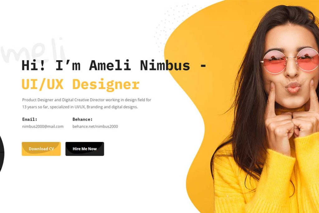 Nimbus - Best CV & Portfolio WordPress Theme
